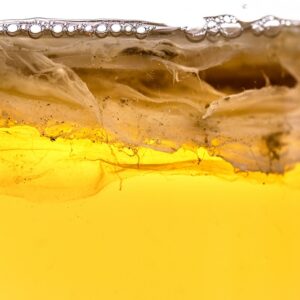 Scoby